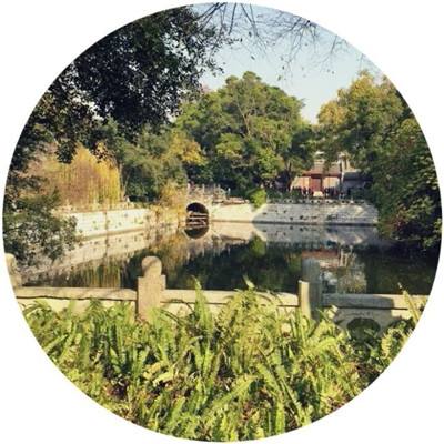 皇帝传九游官方版下载